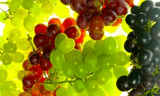 correção nutricional para varizes